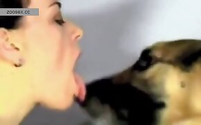 free zoofilia video, oral beastiality orgies